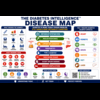 Diabetes Disease Intelligence Map